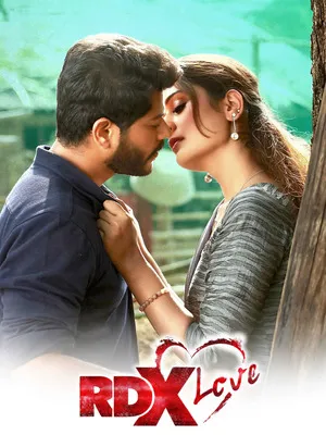 RDX Love 2019 Hindi Dual Audio WEB-DL 720p - 480p - 1080p