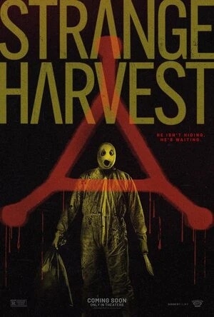 Strange Harvest 2024 Hindi Dual Audio WEB-DL 720p - 480p - 1080p